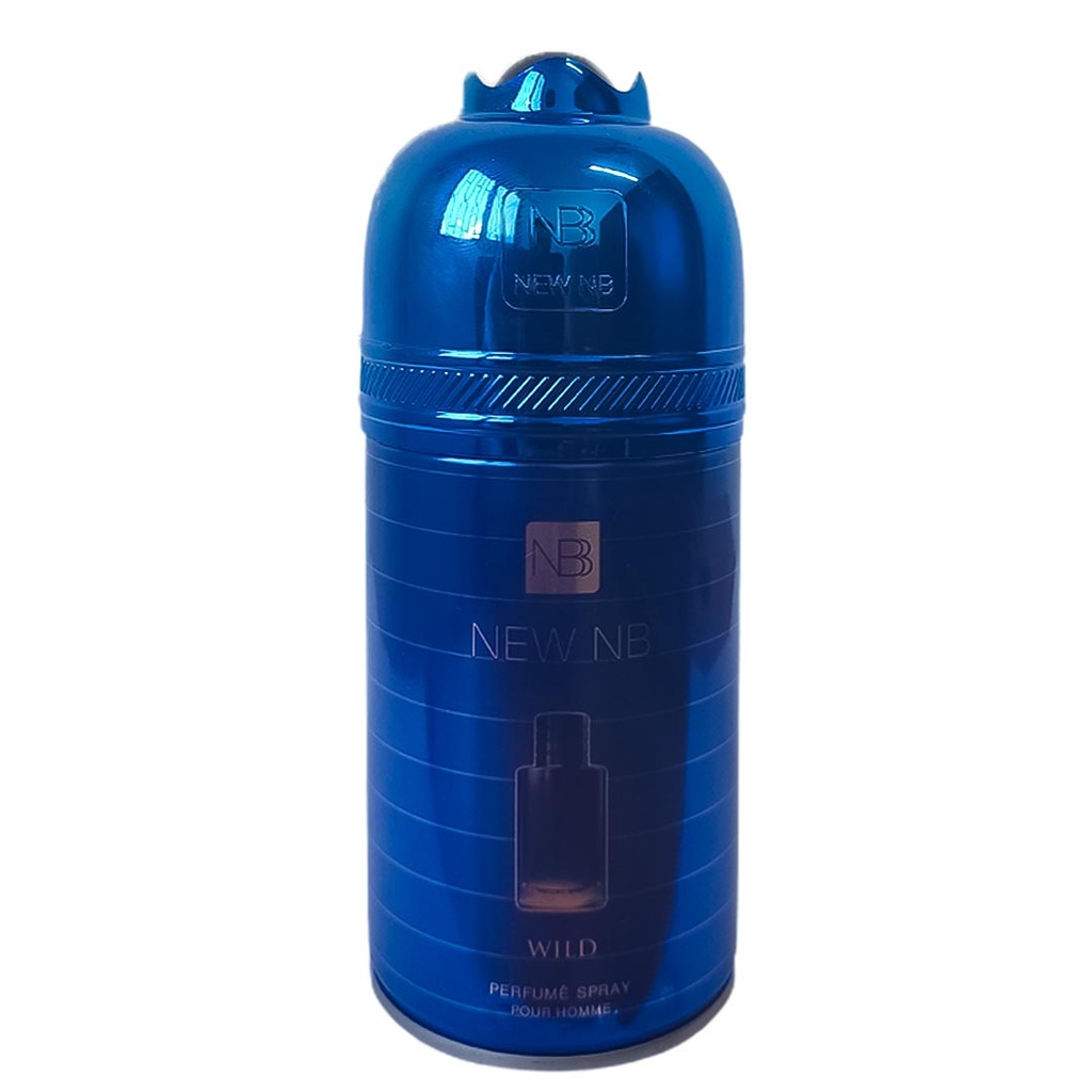 نيو ان بى سبراى - New NB Spray (men, 250ml, Wild)