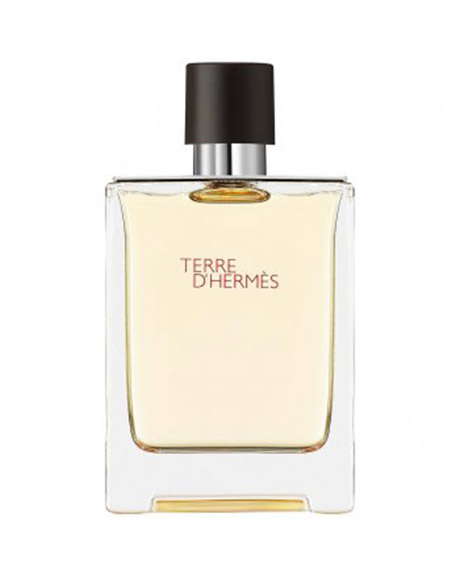 هيرميس ترى دى هيرميس تستر - Hermes Terre D Hermes Tester P-M (75ml)